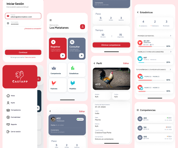 CASTAPP project detail