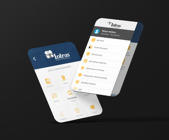 INTRAS project detail